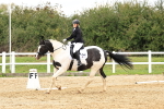 SBM_003533