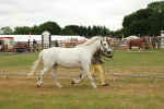 SBM_04259