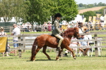 SBM_06816