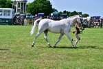 SBM_03887