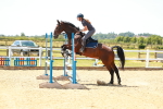 SBM_006176