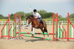 SBM_011357