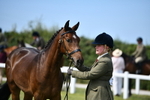 DSC_8403