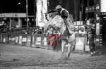 3HRodeo_PBR_TEAMS_JUL_2026_0936