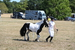 WJ6_8596