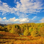 Tarn Howes and the Langdale Pikes, Lake district EDC256