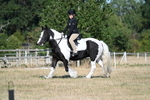 WJ7_8846