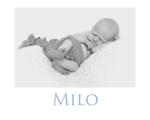 MILO-1