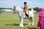 SBM_17252