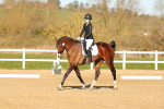SBM_004647