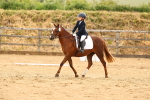 SBM_000868