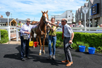 300526-Race 2-Im Dan Dare-0382