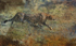 Out Of Africa..