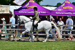 SBM_17484