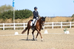 SBM_013116