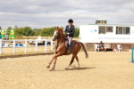 SBM_004869