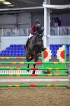 1I0A5466_Class 10 - Senior Foxhunter - 120m