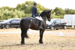 SBM_007615