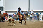 3HRodeo8-11-25_PRCASteer_06497_