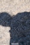 260731A-162008-02538
