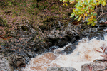 Soldiers Leap Lilliecrankie