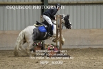 BPP_5309