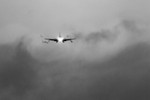 _MG_4838_BW