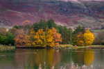 Whitefield Pond, Lennoxtown