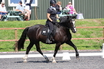 SIAL4717