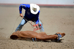 3HRodeo8-11-25_PRCASteer_05199_