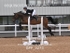 BPP_3273