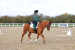 SBM_002343