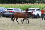 WJ6_6199
