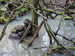 Groombridge portfolio