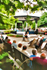 Bandstand 034_32 A 1