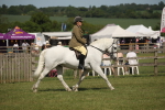SBM_09563