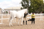SBM_14627