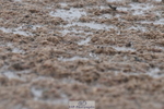 230708A-151946-03269