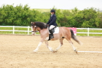 SBM_005954