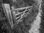 Day 42 - The Way Up