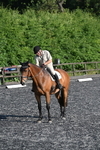 WJ7_9306