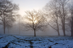 Bristol landscape_Clifton downs  in snow_B0145_Ian Wade