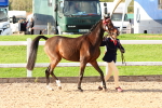 SBM_08644