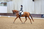 SBM_000931