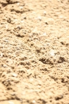 SBM_004650