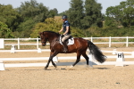 SBM_006413