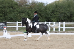 SBM_002211