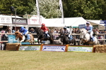 SBM_16561