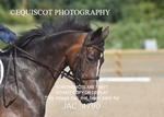 JAC_4790