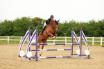 SBM_001480
